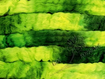 Wensleydale Schaf Kammzug „Wald“ Floating Colour 100g