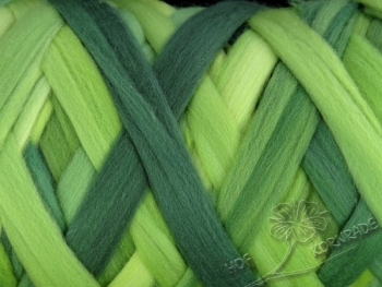 Aust. Merino sheep wool "Wald" Floating Color 500g