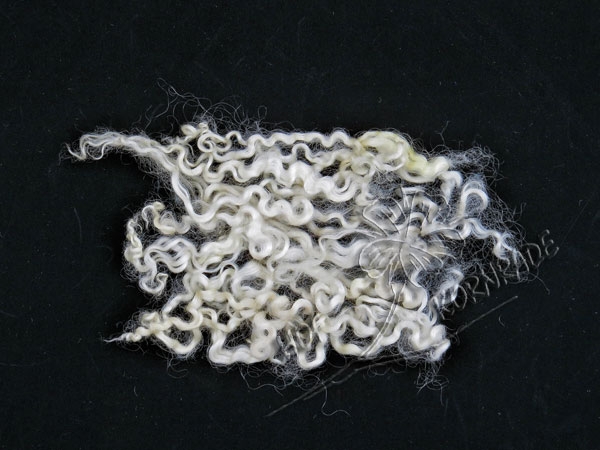 Wensleydale sheep curls- lamb, natural white, 100g