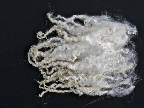 Blue Faced Leicester (BFL) sheep curls, natural white 20g