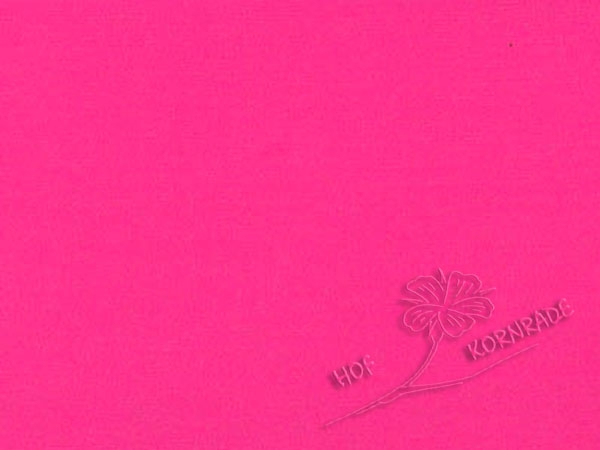 Langschal Pink Chiffon 3,5 180x55cm - Staffelpreis!